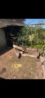 Trio pauwen violet, Plusieurs animaux