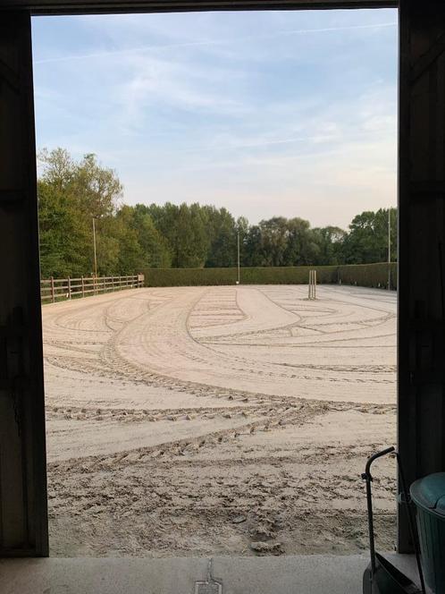 Box te huur, Dieren en Toebehoren, Stalling en Weidegang, Stalling