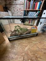 Glazen terrarium, Dieren en Toebehoren, Ophalen, Gebruikt, Terrarium of Paludarium