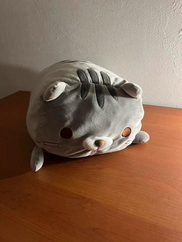 SquishyMelon Cat beschikbaar voor biedingen