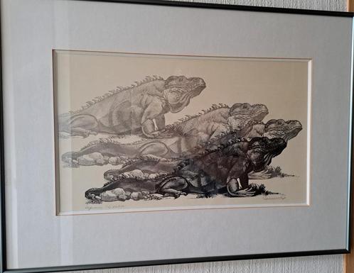 Litho leguanen. Gerard Gaudaen. Épreuve d'artiste., Antiek en Kunst, Kunst | Etsen en Gravures, Ophalen