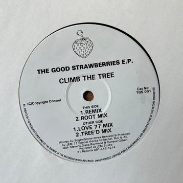 Jem 77 – The Good Strawberries EP Climb The Tree (1993) beschikbaar voor biedingen