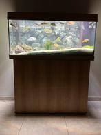 Malawi aquarium te koop incl vissen, Dieren en Toebehoren, Vissen | Aquaria en Toebehoren, Ophalen, Zo goed als nieuw