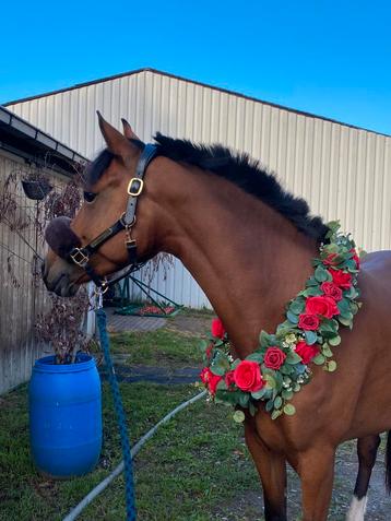 2 rode rozenkransen te koop beschikbaar voor biedingen