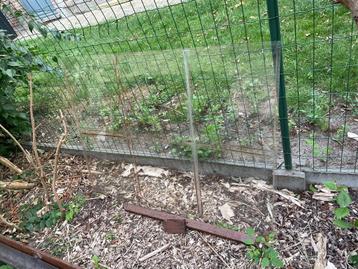 Gratis - glas - 109x80 cm beschikbaar voor biedingen