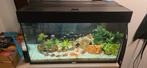 Aquarium juwel rio 125L, Ophalen, Gebruikt