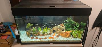 Aquarium juwel rio 125L beschikbaar voor biedingen