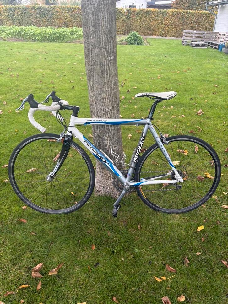 Ridley Pegasus koersfiets, Fietsen en Brommers, Fietsen | Racefietsen, Gebruikt, Heren, Aluminium, Ophalen