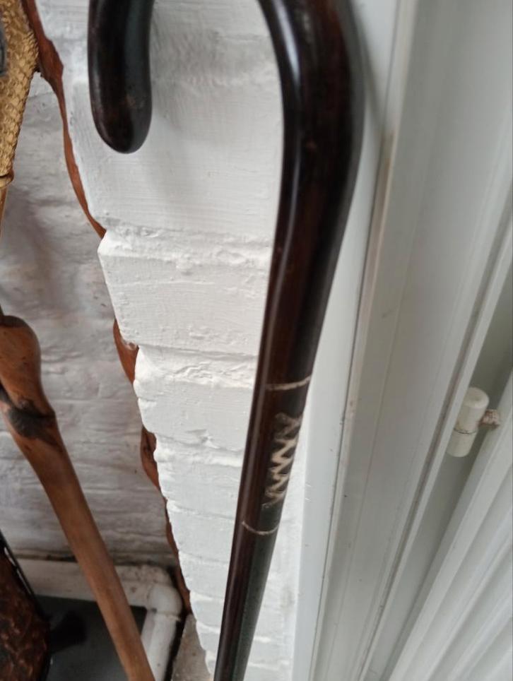 Ancienne canne ébène et argent, Divers, Bâtons de marche, Enlèvement ou Envoi