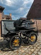 Enkel of dubbelspan koets, Dieren en Toebehoren, Gebruikt, Marathonwagen, Paard