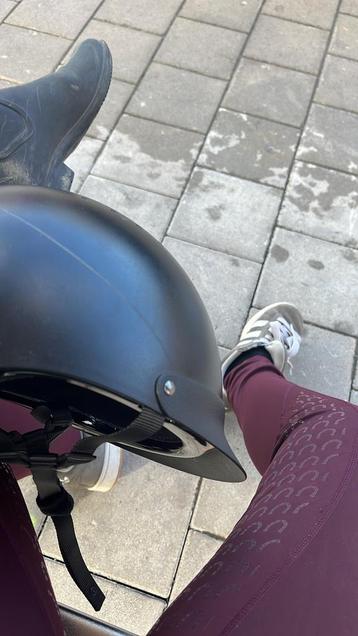 WE ZOEKEN VERZORGPAARDEN HAMME SINTNIKLAAS beschikbaar voor biedingen