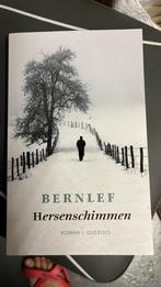 Bernlef - Hersenschimmen, Ophalen, Zo goed als nieuw, Bernlef