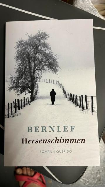 Bernlef - Hersenschimmen beschikbaar voor biedingen