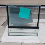 Terrarium 25x25x15, Ophalen, Zo goed als nieuw, Terrarium of Paludarium