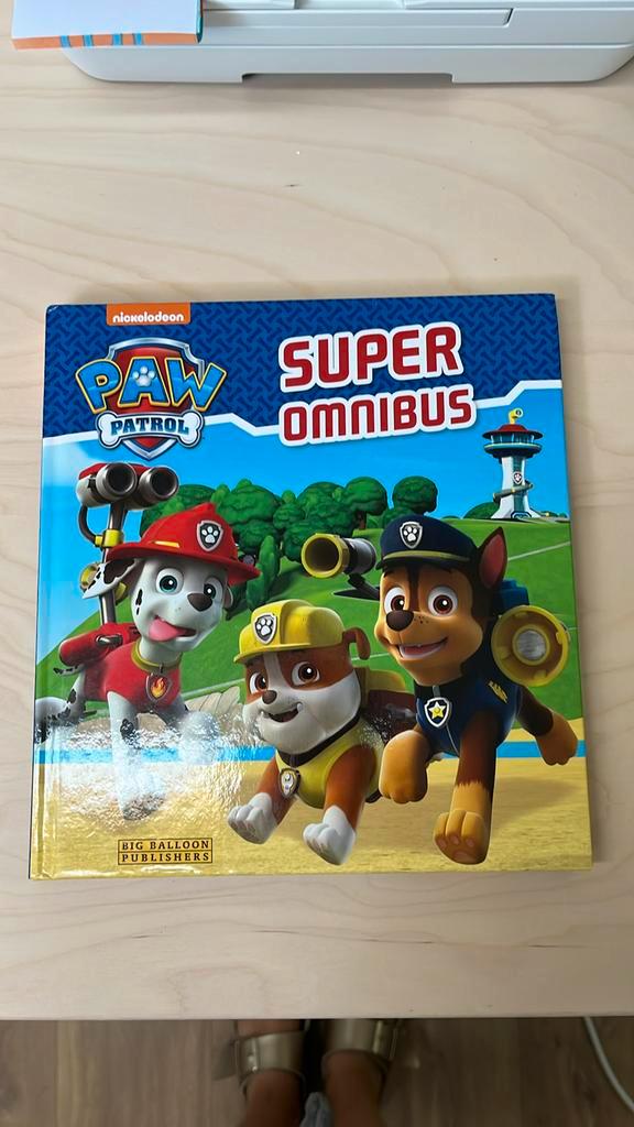 Paw Patrol, Boeken, Kinderboeken | Jeugd | onder 10 jaar, Zo goed als nieuw, Ophalen of Verzenden