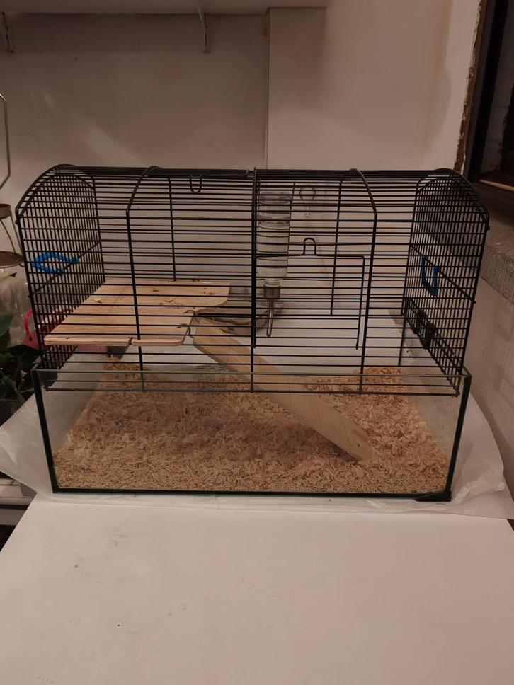 Knaagdierkooi Aqualand 52-29-40 cm – met accessoires, Animaux & Accessoires, Rongeurs & Lapins | Cages & Clapiers, Cage, Hamster