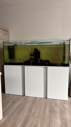 Aquarium met kast, Dieren en Toebehoren, Ophalen, Zo goed als nieuw