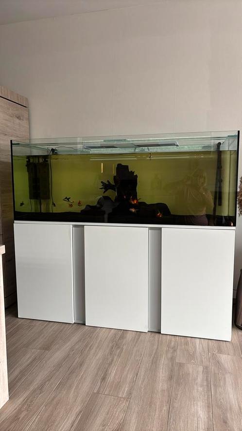 Aquarium met kast, Dieren en Toebehoren, Vissen | Aquaria en Toebehoren, Zo goed als nieuw, Ophalen