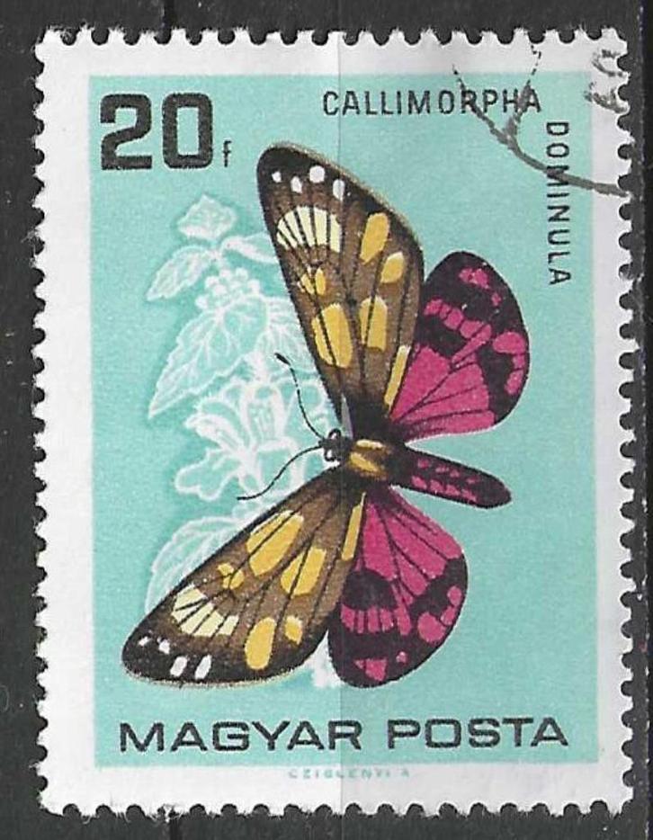 Hongarije 1966 - Yvert 1790 - Bonte Beer (ST), Postzegels en Munten, Postzegels | Europa | Hongarije, Verzenden