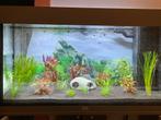 Aquarium juwel rio 125, Dieren en Toebehoren, Ophalen, Zo goed als nieuw