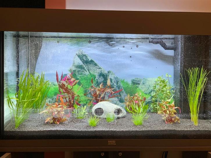 Aquarium juwel rio 125, Dieren en Toebehoren, Vissen | Aquaria en Toebehoren, Zo goed als nieuw, Ophalen