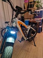 Radrhino met slechts 1312 km, Fietsen en Brommers, Elektrische fietsen, Ophalen of Verzenden, Zo goed als nieuw