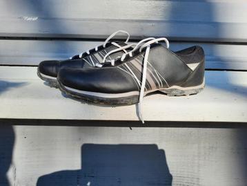 Chaussures de Golf Nike
