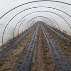 Tunnelbogen, Enlèvement, Culture de fruits, Autres types