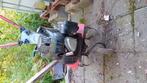 motoculteur, Ophalen, Gebruikt, Benzine