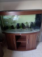 Juwel vision 260l, Dieren en Toebehoren, Vissen | Aquaria en Toebehoren, Ophalen of Verzenden, Gebruikt