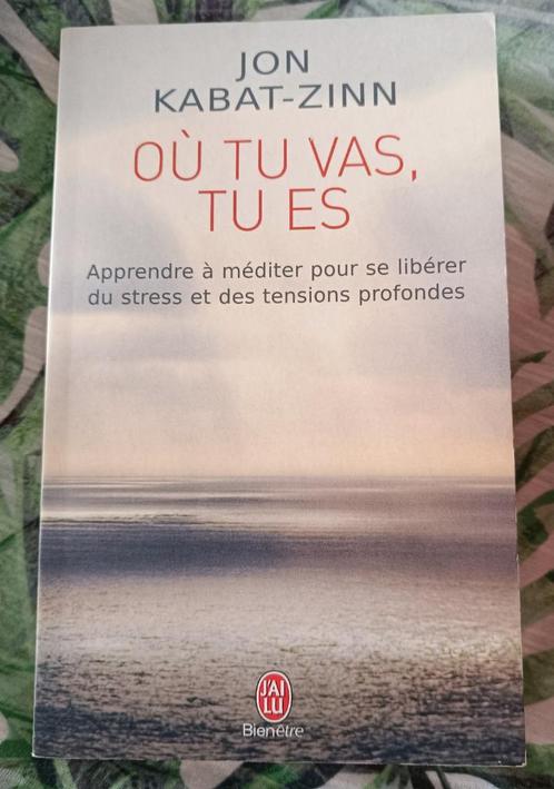 Où tu vas, tu es : Jon Kabat Zinn : FORMAT DE POCHE, Livres, Ésotérisme & Spiritualité, Utilisé, Arrière-plan et information, Méditation ou Yoga