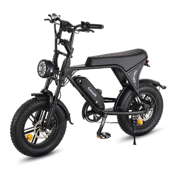VELO ELECTRIQUE FATBIKE  48V 16' 20'  24' 2000w, Fietsen en Brommers, Elektrische fietsen, Nieuw, Overige merken, 55 tot 59 cm