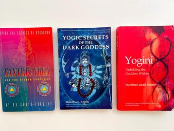 Bundel thema Yogini’s, Godesses, Tantra in zeer goede staat  beschikbaar voor biedingen