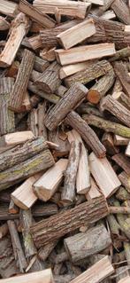 Nat brandhout stookklaar volgende winter, Tuin en Terras, Brandhout, Ophalen
