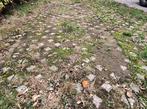 Grasdallen ongeveer 14 vierkante meter, Tuin en Terras, Ophalen, Gebruikt