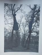 zeefdruk Juan Munoz Middelheim Museum Antwerpen 1993, Antiek en Kunst, Ophalen of Verzenden