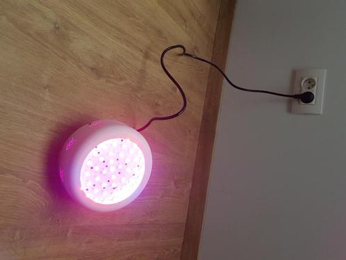 groeilamp - kweeklamp, Tuin en Terras, Kweekspullen, Zo goed als nieuw, Kweeklamp, Ophalen