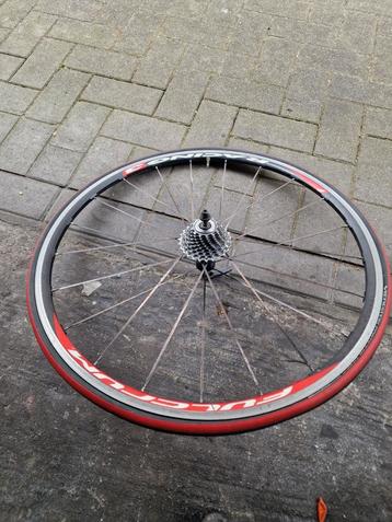 Koersfiets wiel 11 speed 