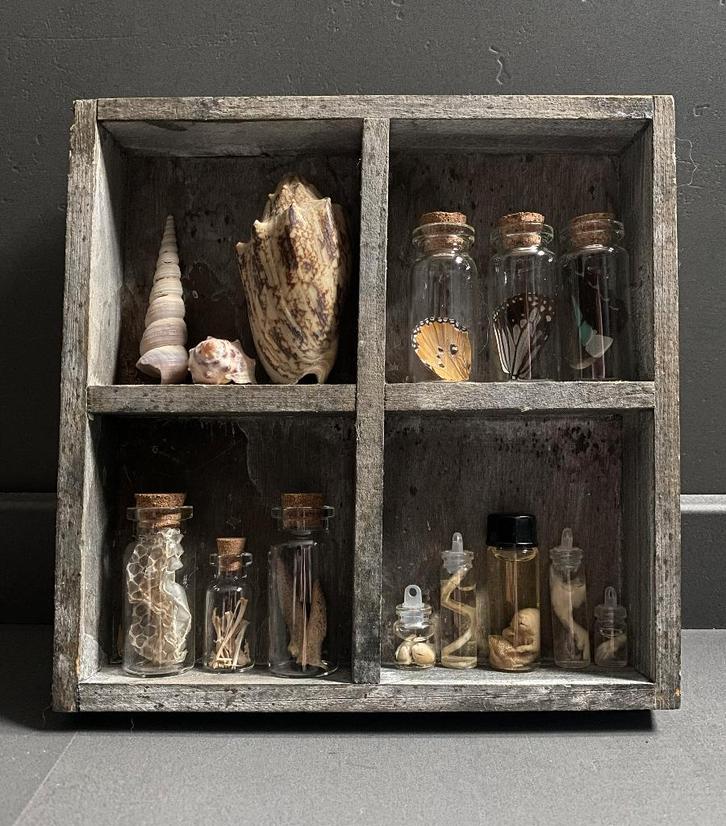 Mini rariteiten letterbak - letterkastje, Collections, Collections Animaux, Enlèvement ou Envoi