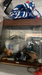 Aquarium, Animaux & Accessoires, Enlèvement