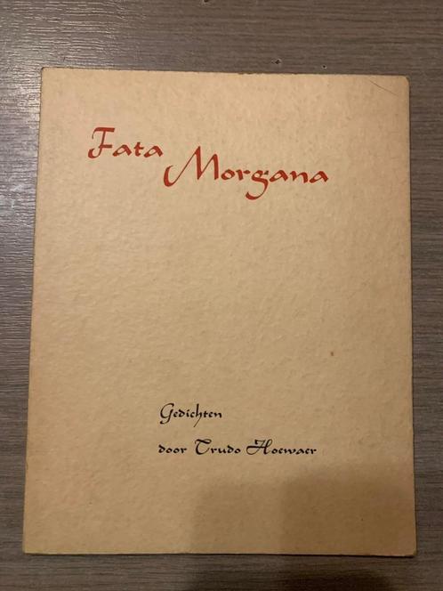 (POËZIE TRUDO HOEWAER HASSELT) Fata Morgana., Boeken, Geschiedenis | Stad en Regio, Gelezen, Ophalen of Verzenden
