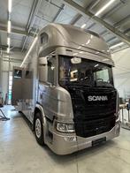 Scania P320 INTERHORSE, Dieren en Toebehoren, Ophalen, Nieuw, Aluminium, Overige typen