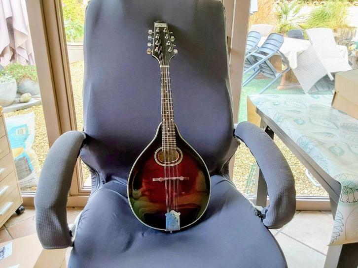 Mandoline Recording King GJ0110 (1997) état neuf, Muziek en Instrumenten, Snaarinstrumenten | Mandolines, Zo goed als nieuw, Ophalen