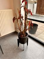 Bloempot, Rond, Synthétique, Enlèvement, Utilisé