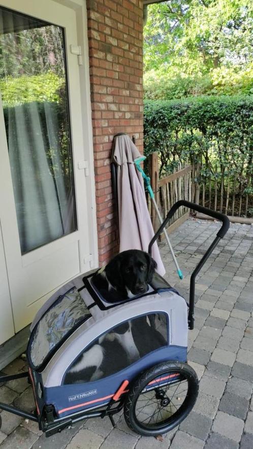 Honden fiets/wandelkar Medium Hafenbande, Dieren en Toebehoren, Transportboxen, Zo goed als nieuw, Ophalen