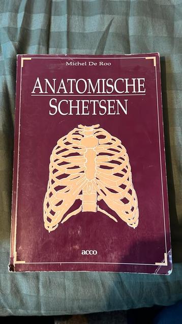 Roo - Anatomische schetsen beschikbaar voor biedingen