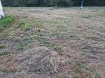 Gratis hooi, Dieren en Toebehoren