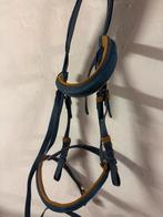 Blauw kunststof hoofdstel incl teugels (cob), Ophalen, Zo goed als nieuw, Recreatie