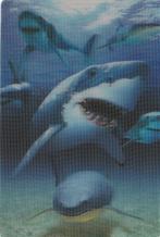 WITTE  MENSENHAAI    SPECIAAL  EFFECT  !!, Verzamelen, Postkaarten | Dieren, Verzenden, Ongelopen, Waterdier