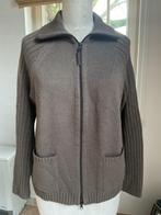 Tricot damesvest van green Ice , maat L, Kleding | Dames, Truien en Vesten, Ophalen of Verzenden, Maat 42/44 (L), Bruin